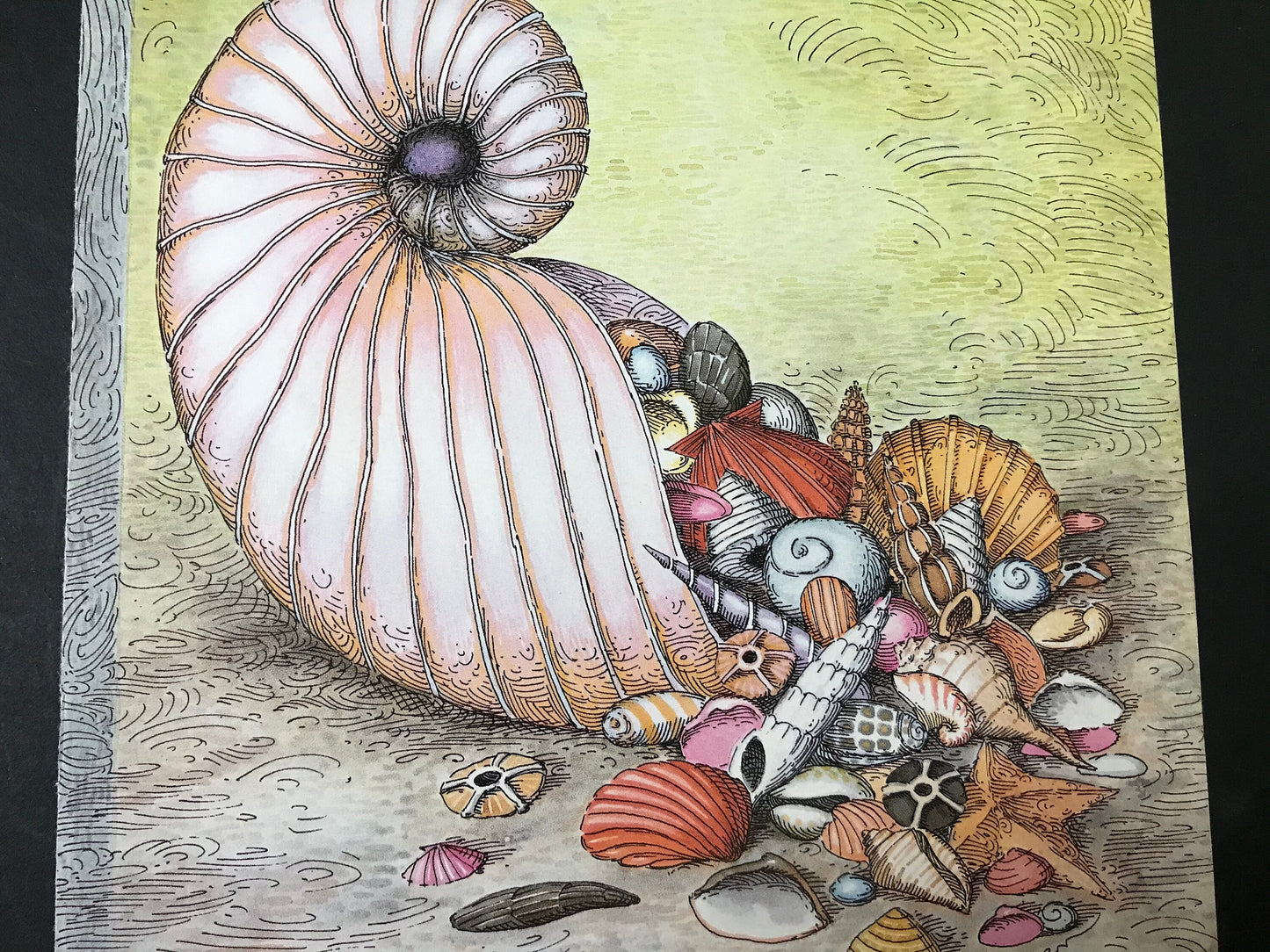 NEW YORKER Magazine cover - April 11, 1988 - seashells, shells
