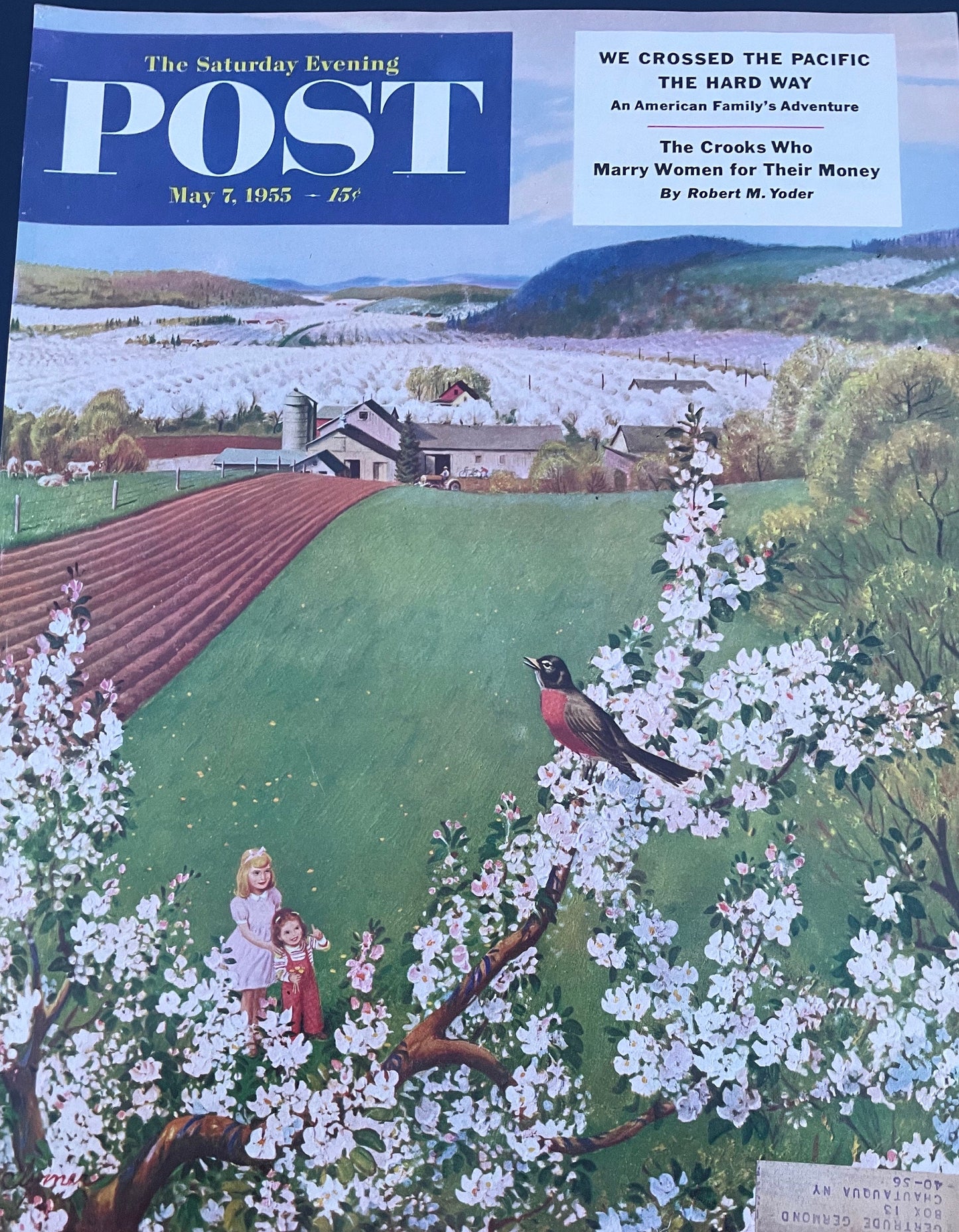 Saturday Evening Post - Original Cover - May 7, 1955 - beautiful bird singing in a tree with young kids watching