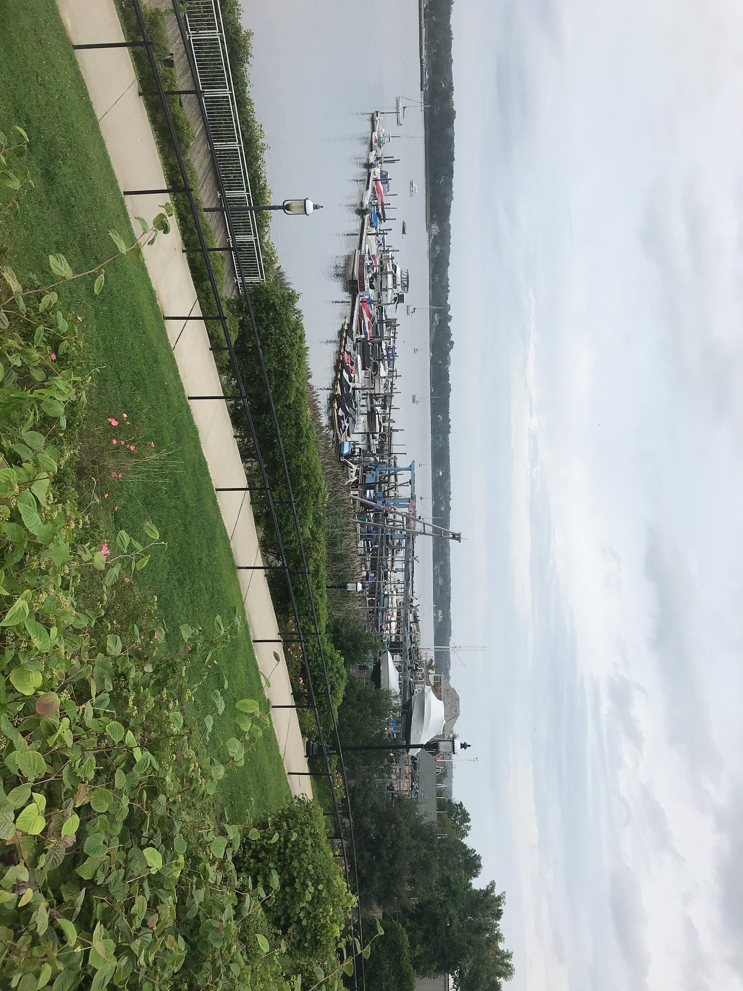 April 16 & 23, 2010 - The NEW YORKER - cover only - driving through trees - please read description