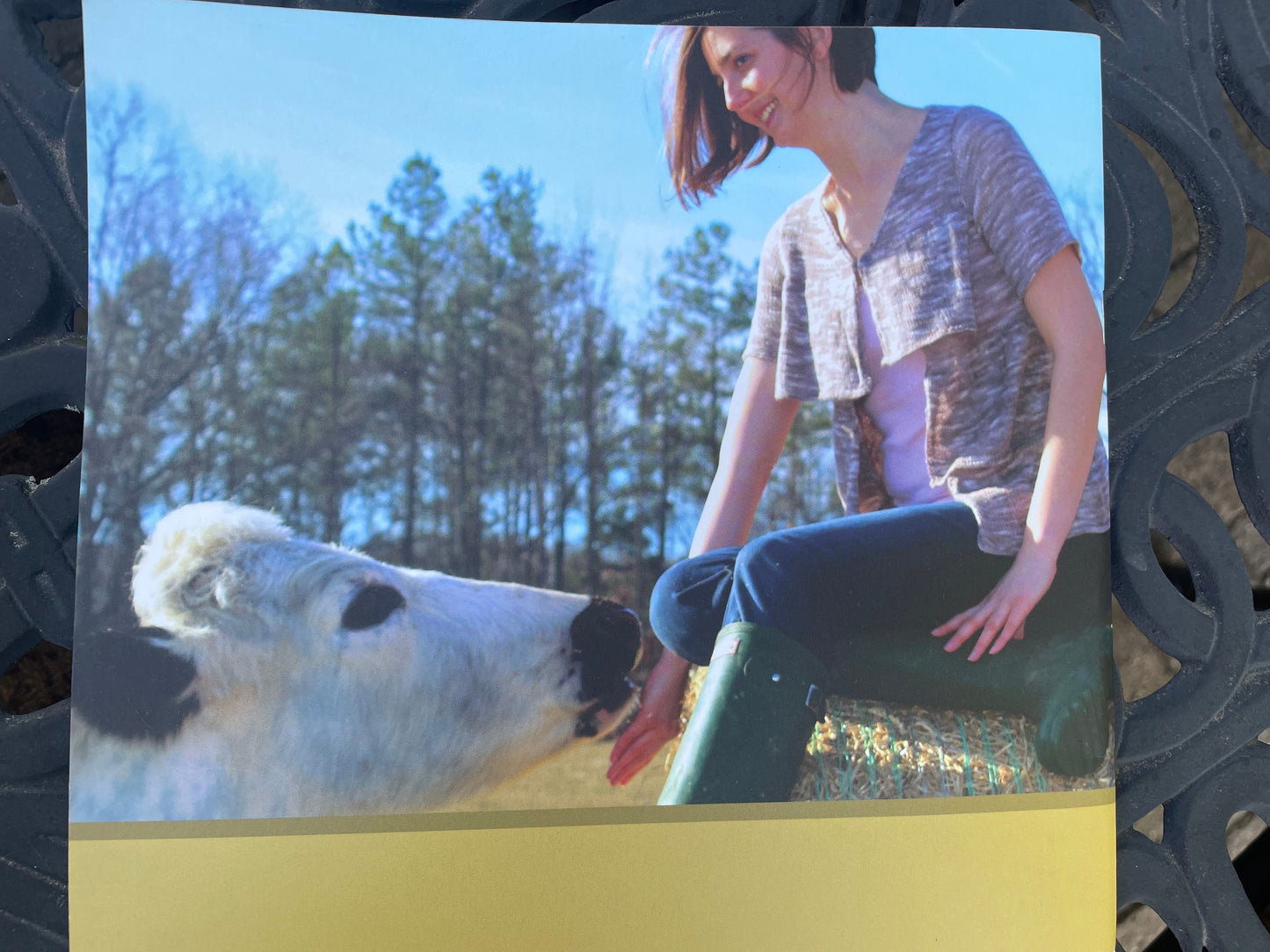 Knitting pattern book - Juniper Moon Farm FINDLEY DAPPLED knitting pattern book with 11 Designs