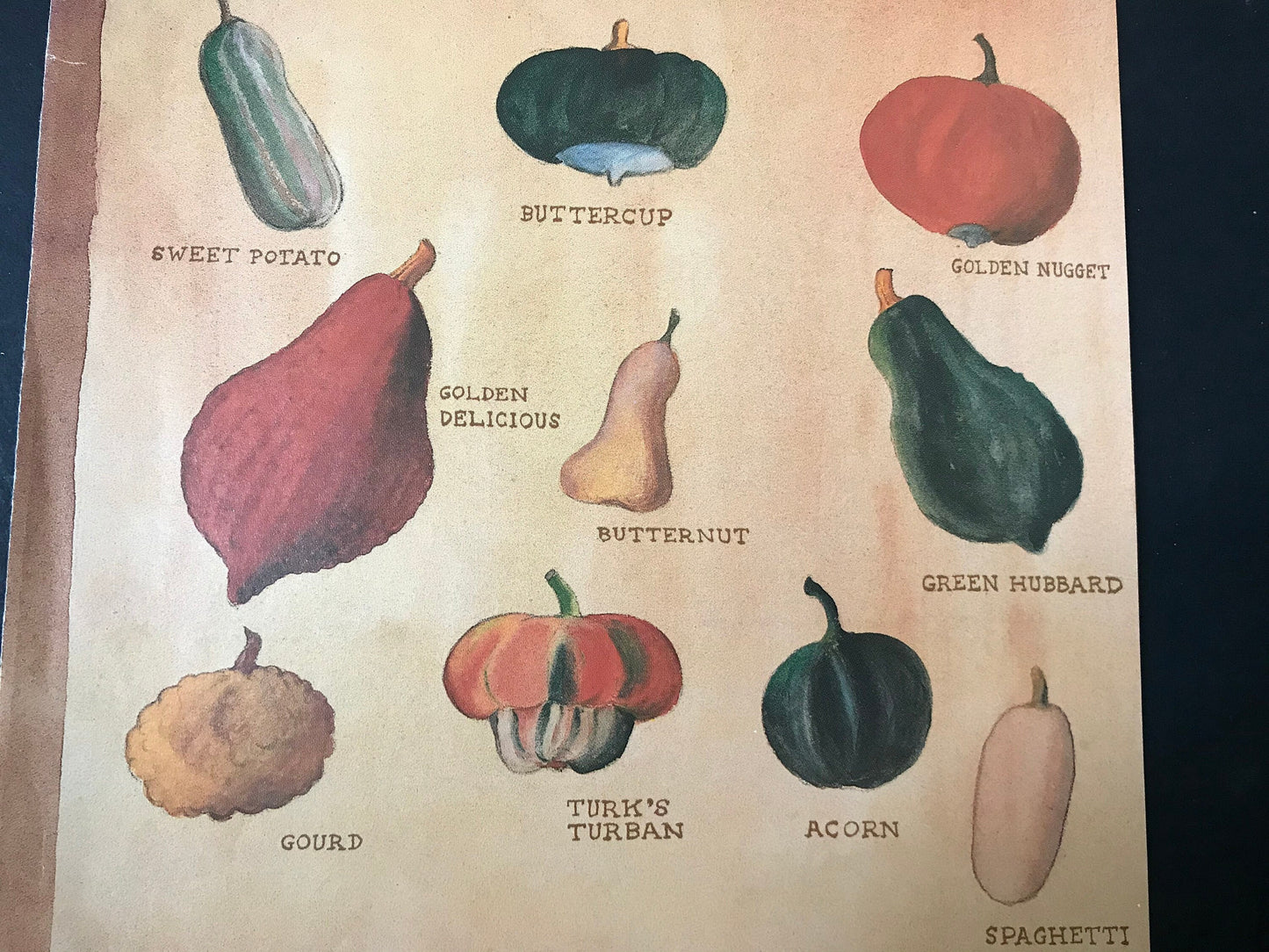 NEW YORKER Magazine cover - September 30, 1985 - vegetables