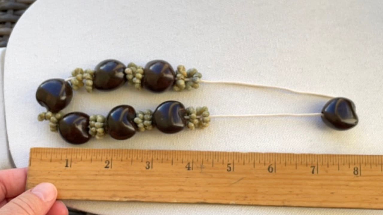 Hawaiian style vintage shell and nut unique choker necklace