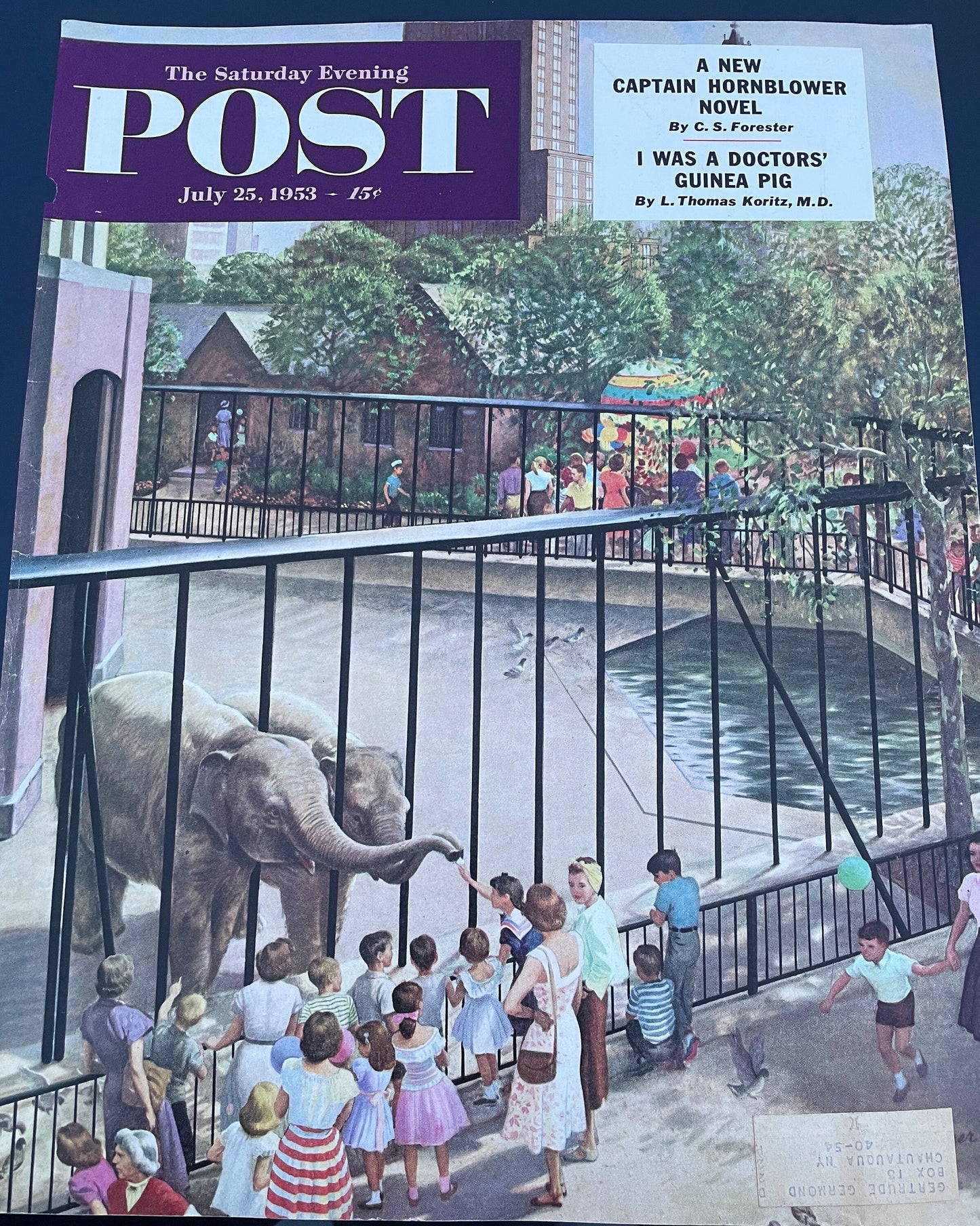 Saturday Evening Post - Original Cover - July 25, 1953 - elephants, zoo