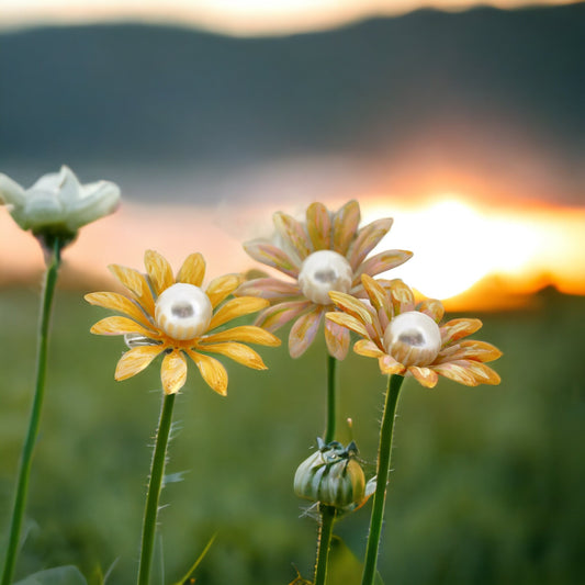 Handpainted vintage metal enamel daisy 3" flower hair clips with large faux pearl centers - or pin