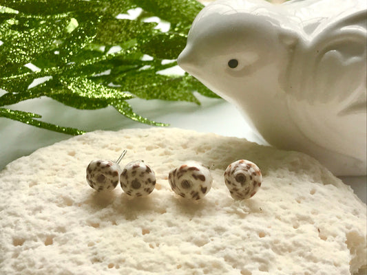 Tiny round shell stud earrings