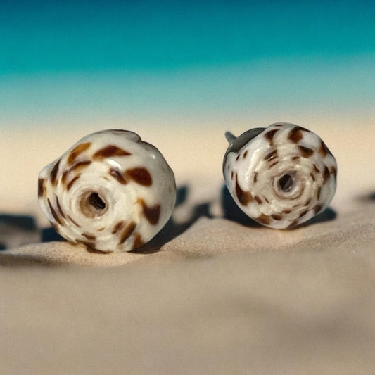 Small shell stud earrings