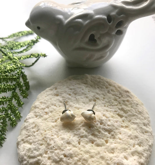 Tiny vintage shell stud earrings