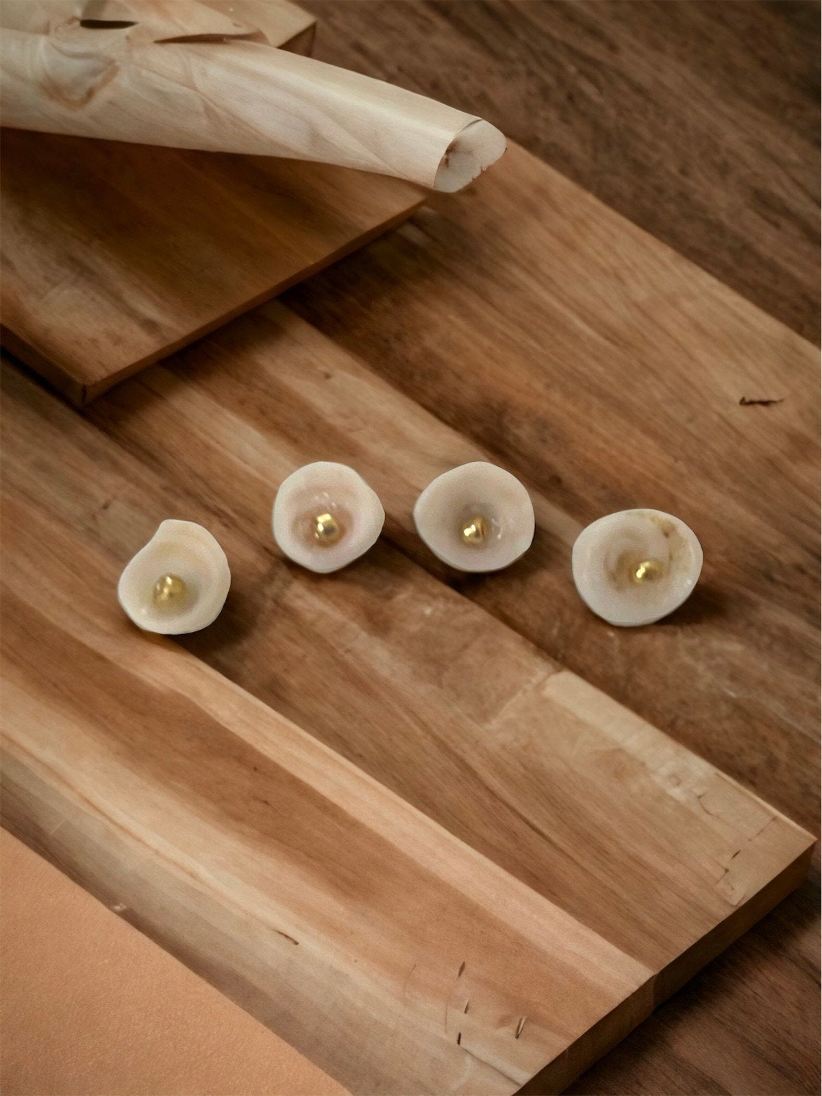 Ivory white shell stud earrings with goldtone centers