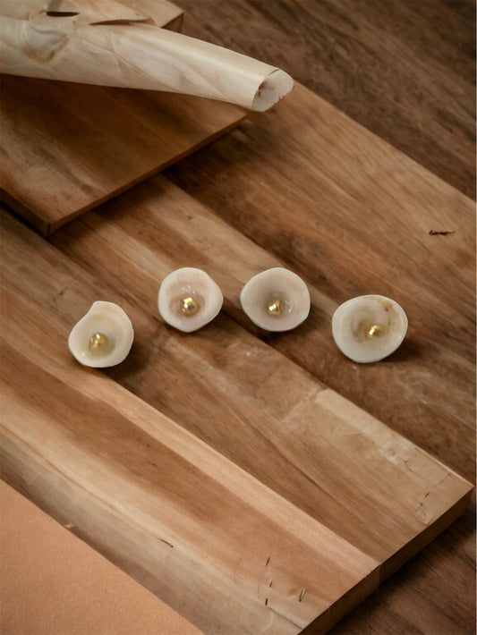 Ivory white shell stud earrings with goldtone centers