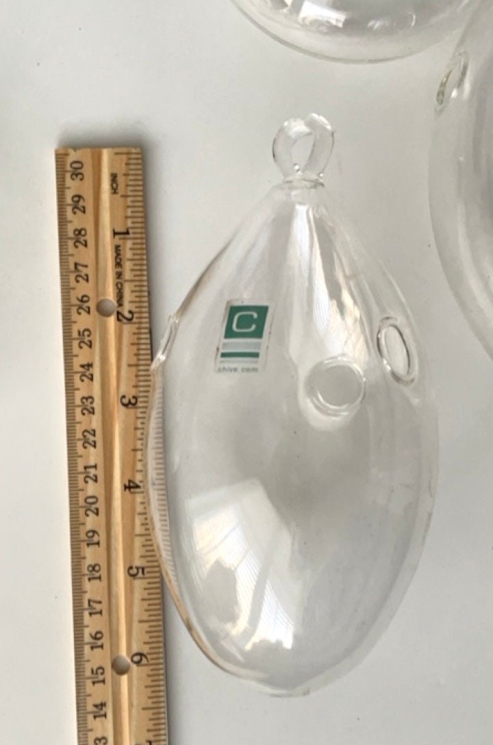 Your choice of clear glass hanging plant terranium