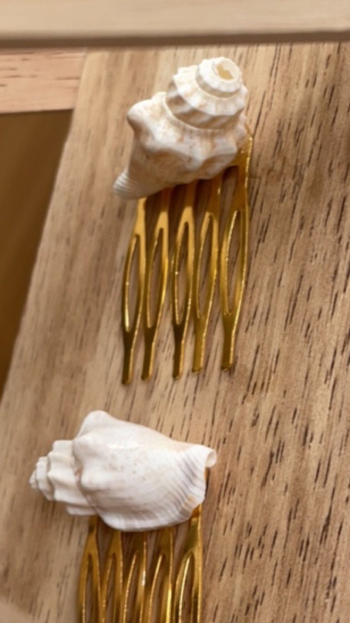 Pair of sea shell mini metal beach themed hair combs - 1" each
