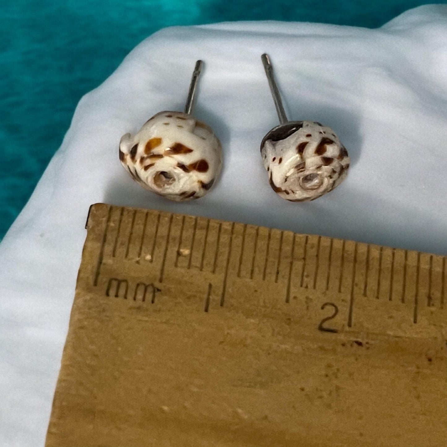 Small shell stud earrings