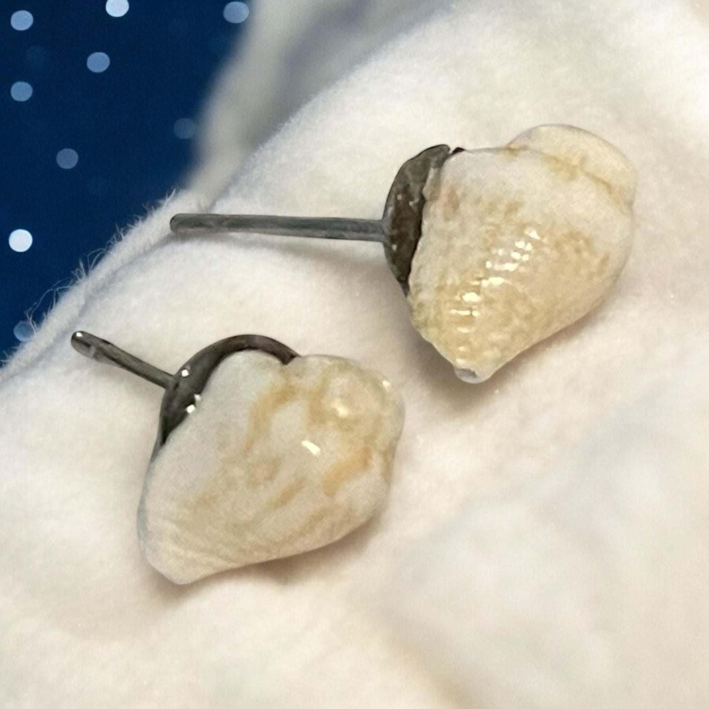 Small shell stud earrings