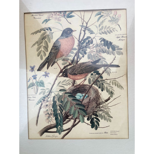 Arthur Singer framed vintage print - birds, leaves, birds nest - wood frame with glass