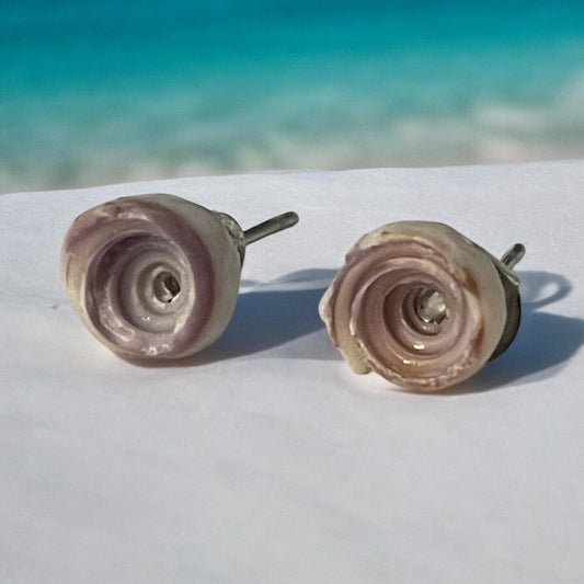 Small shell stud earrings