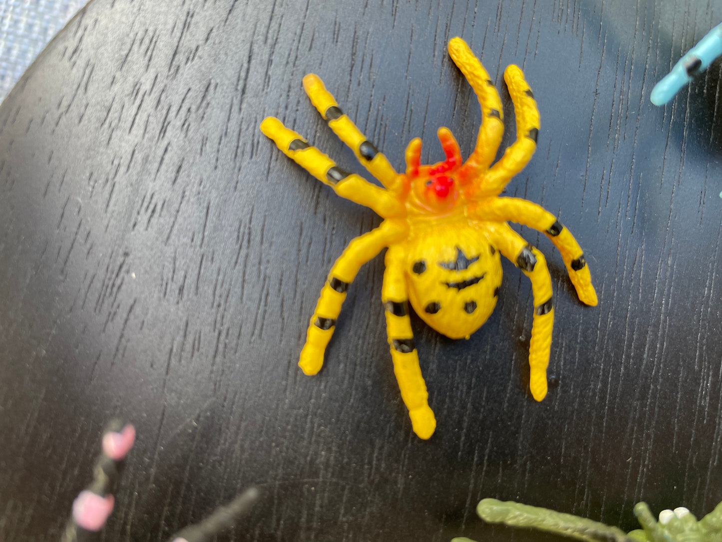 Fun Halloween Spider - PRICE PER PAIR - your choice of hair pins or earrings - scary, spooky fun Halloween jewelry, costume, accessories