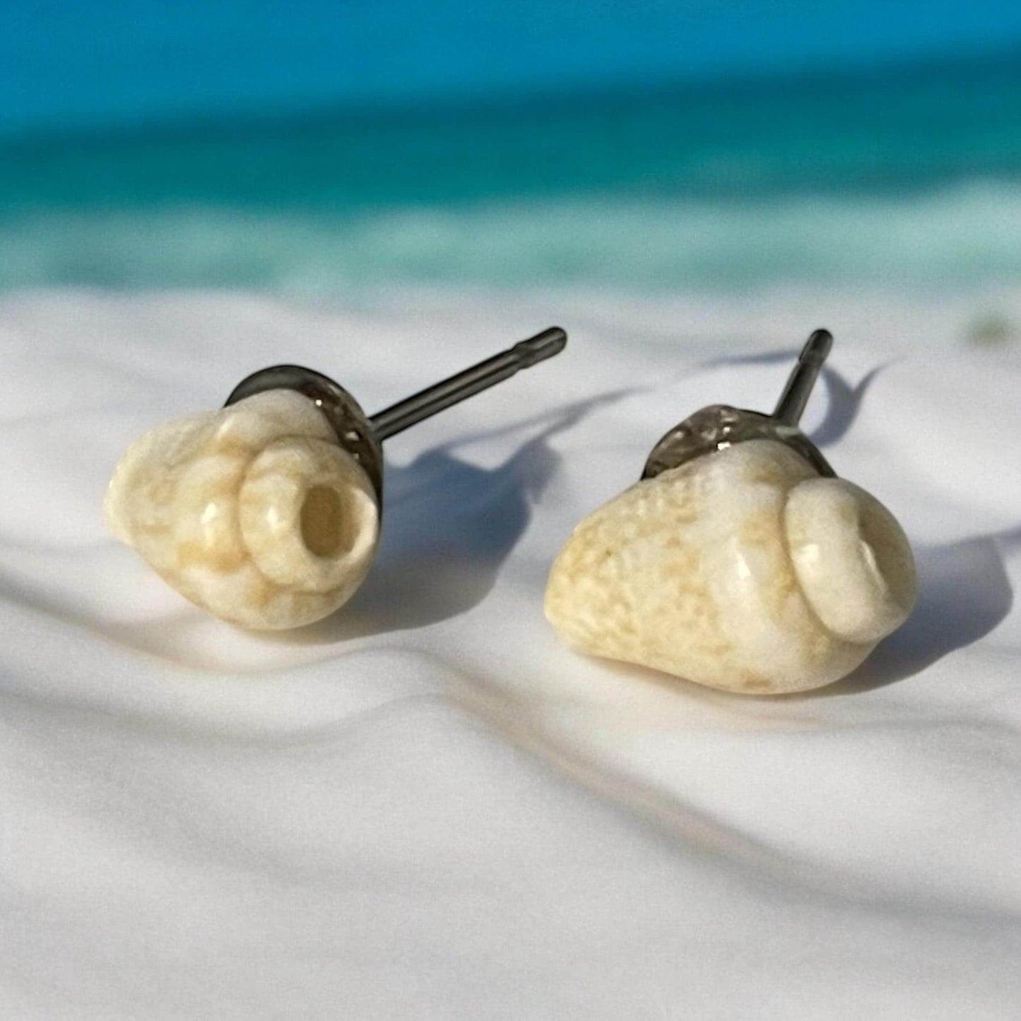 Small shell stud earrings