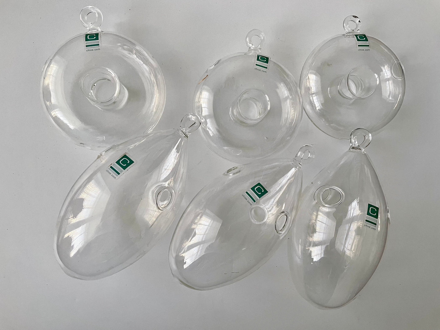 Your choice of clear glass hanging plant terranium