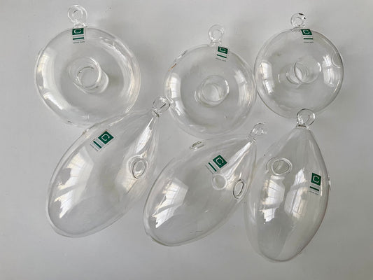 Your choice of clear glass hanging plant terranium