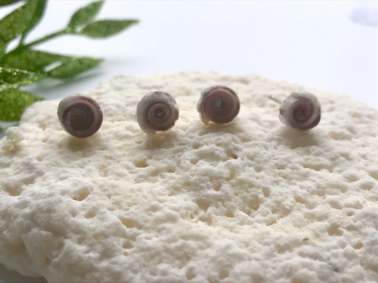 Tiny round shell stud earrings