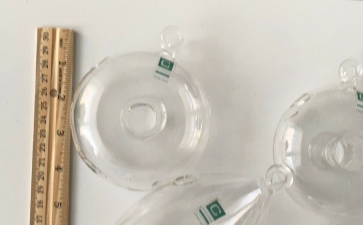 Your choice of clear glass hanging plant terranium
