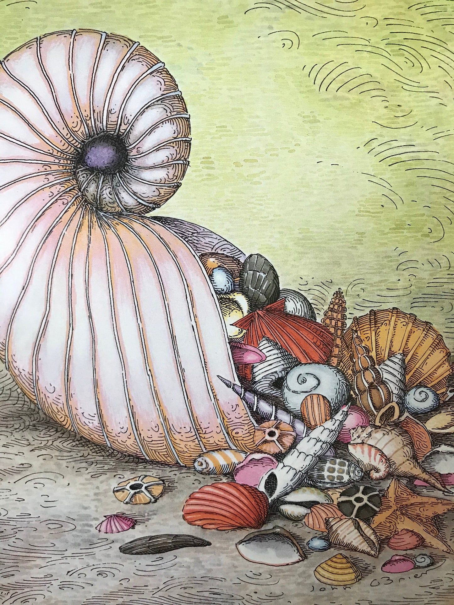 NEW YORKER Magazine cover - April 11, 1988 - seashells, shells