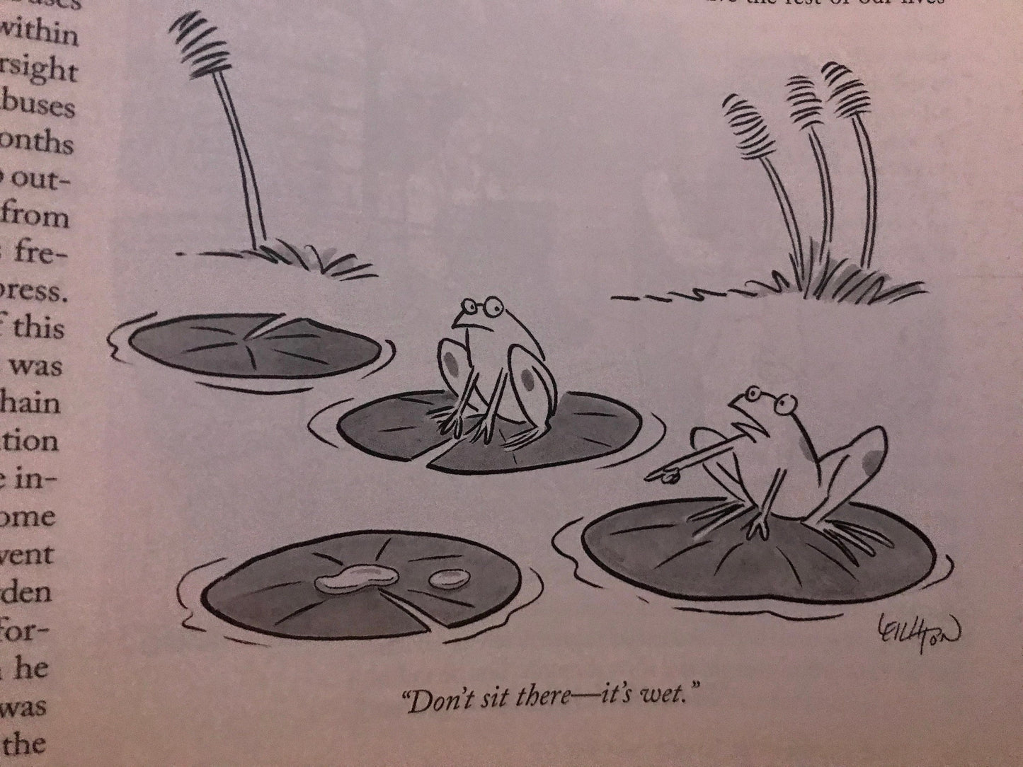 September 23, 2019 - Your choice: Cover only OR complete issue  of The New Yorker Magazine - bicyclists, bicycle riders, bicycles
