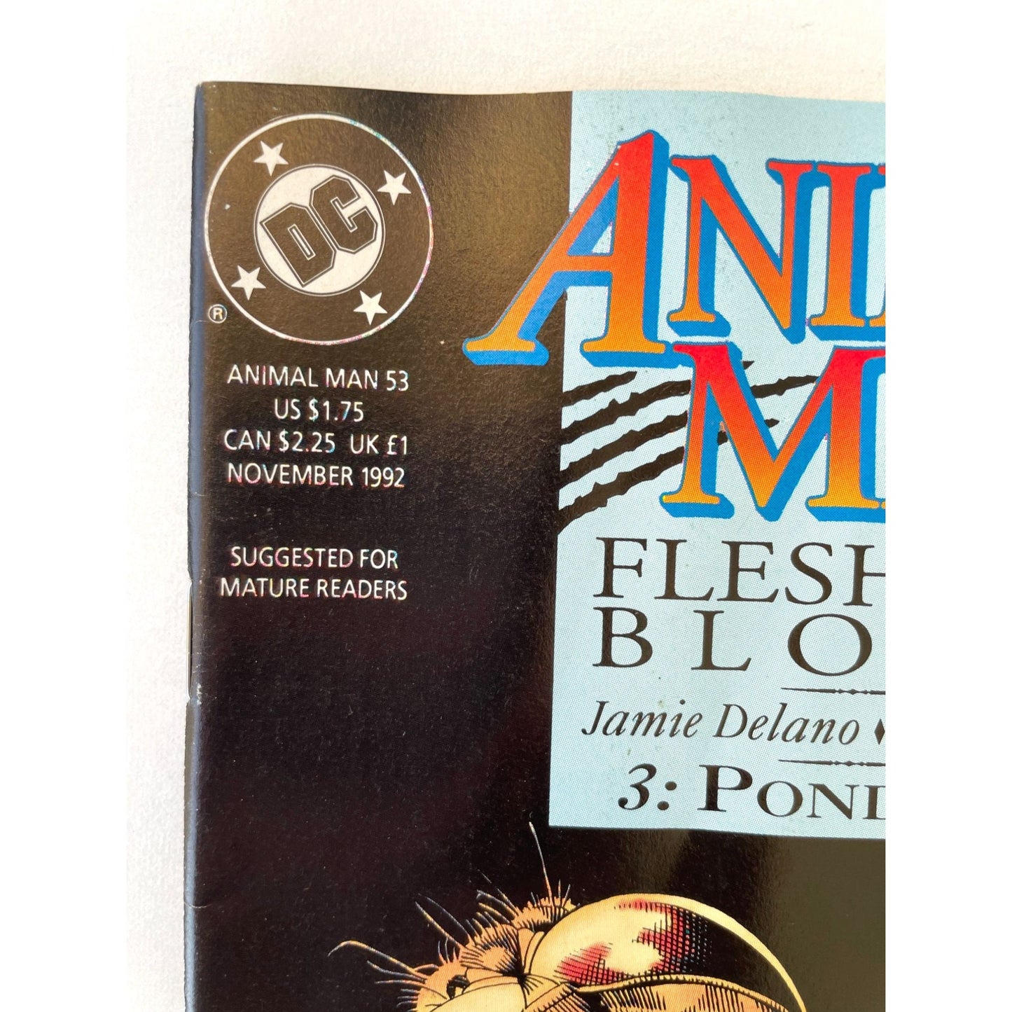 Vintage comic book - Animal Man #53 Comic Book 1992 - Brian Bolland DC Maxine Baker