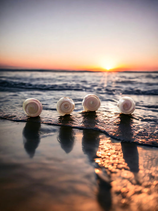 Tiny round shell stud earrings