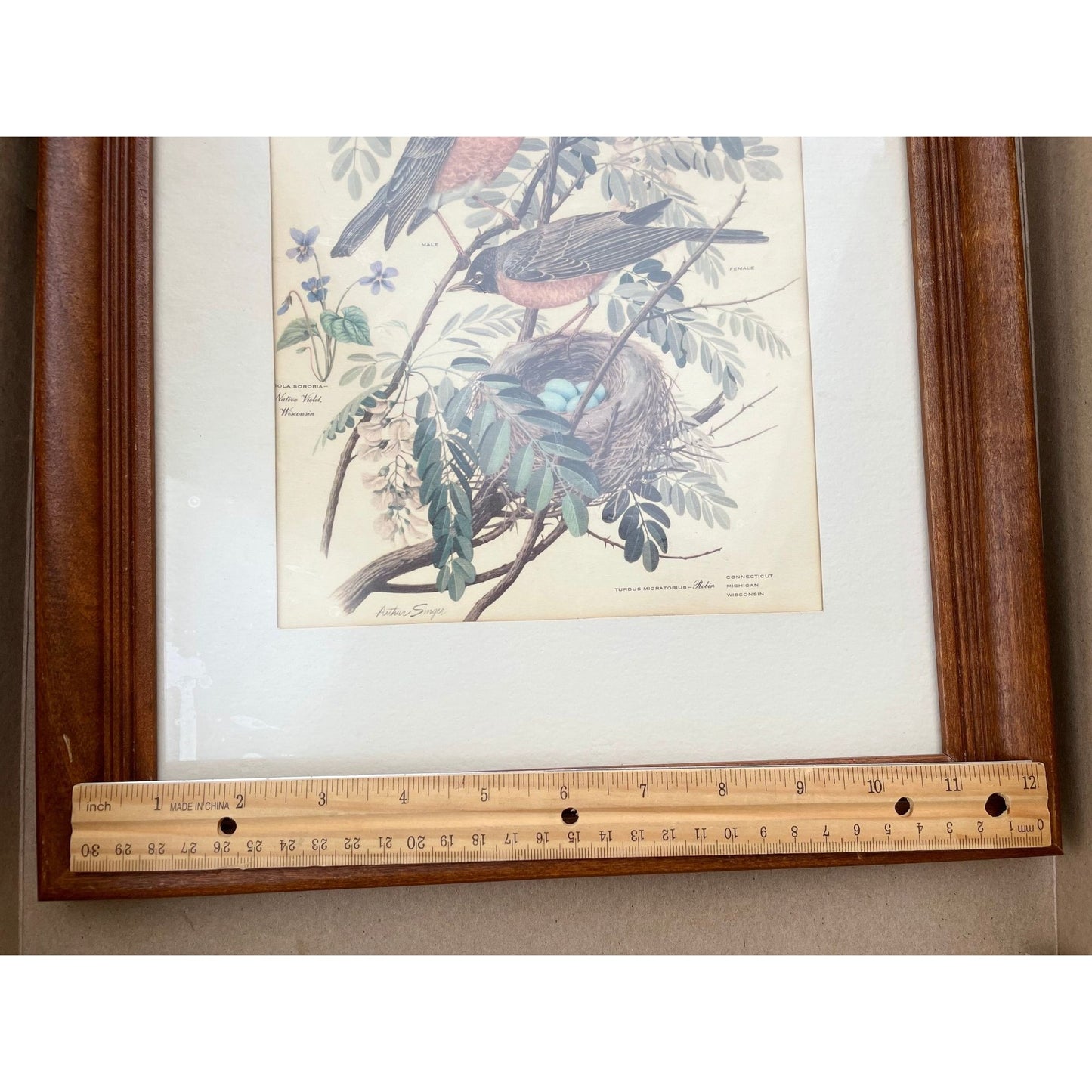 Arthur Singer framed vintage print - birds, leaves, birds nest - wood frame with glass