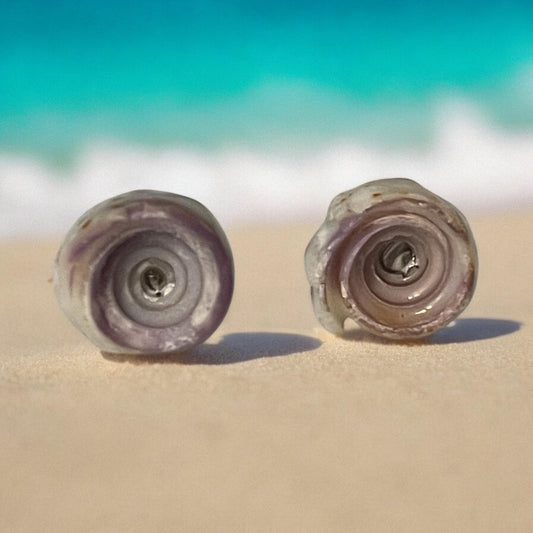 Small shell stud earrings