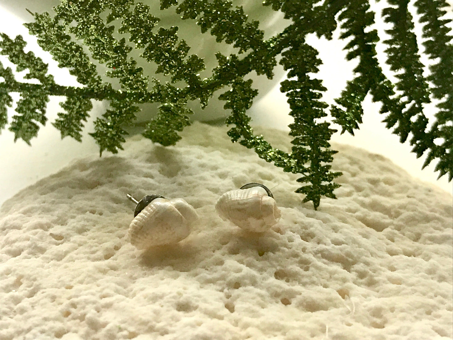 Tiny vintage shell stud earrings