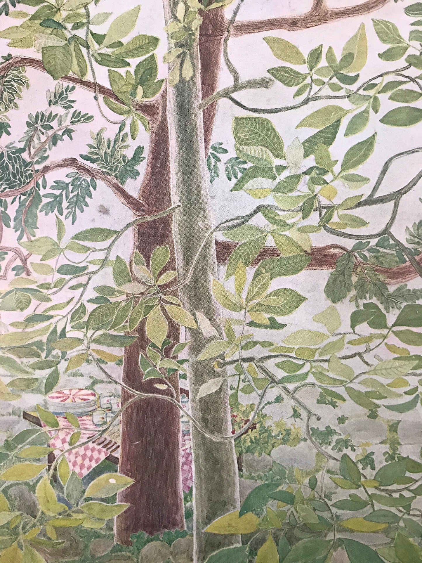 The NEW YORKER Magazine cover - May 25, 1968 - picnic in the park