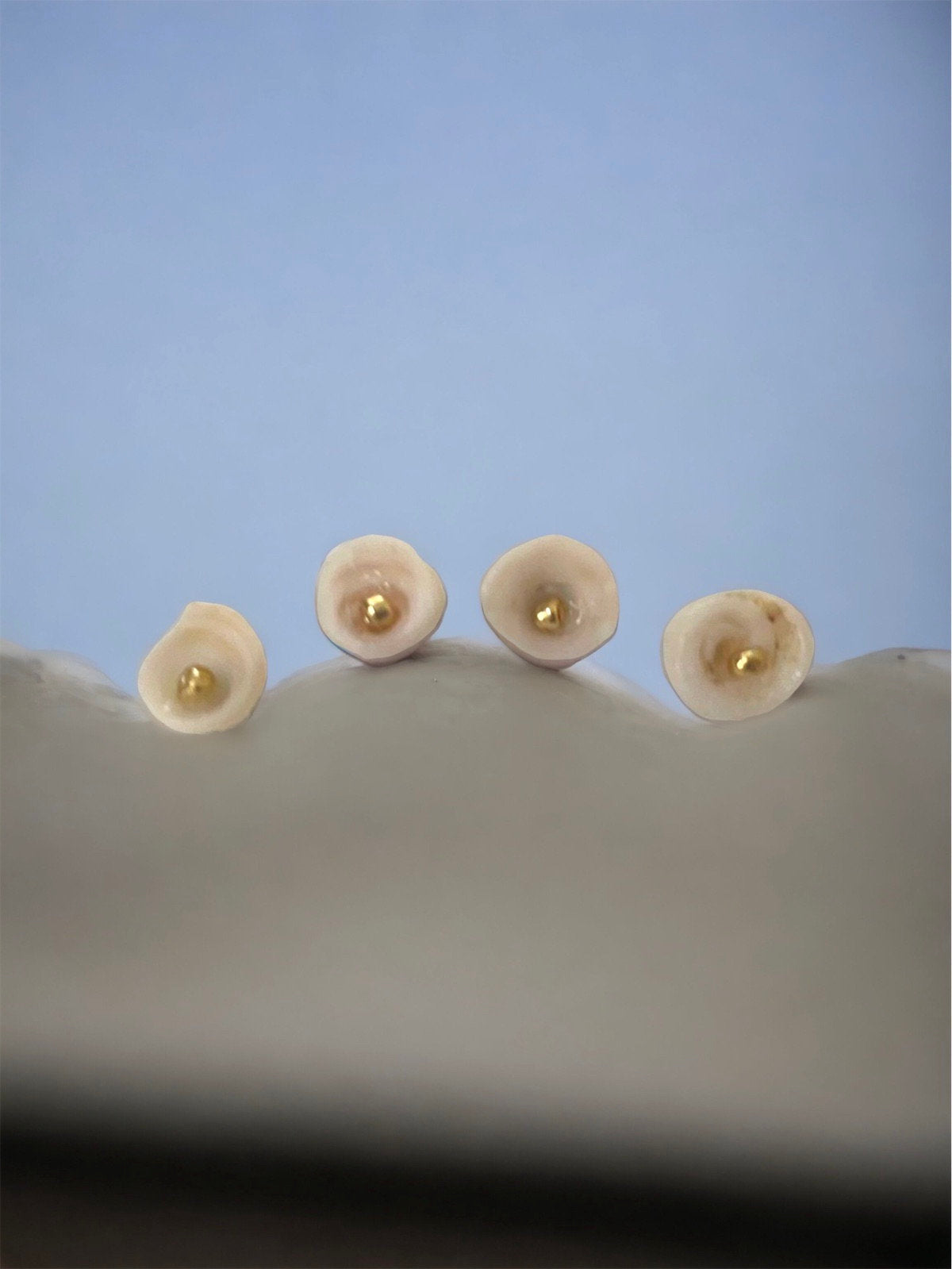 Ivory white shell stud earrings with goldtone centers