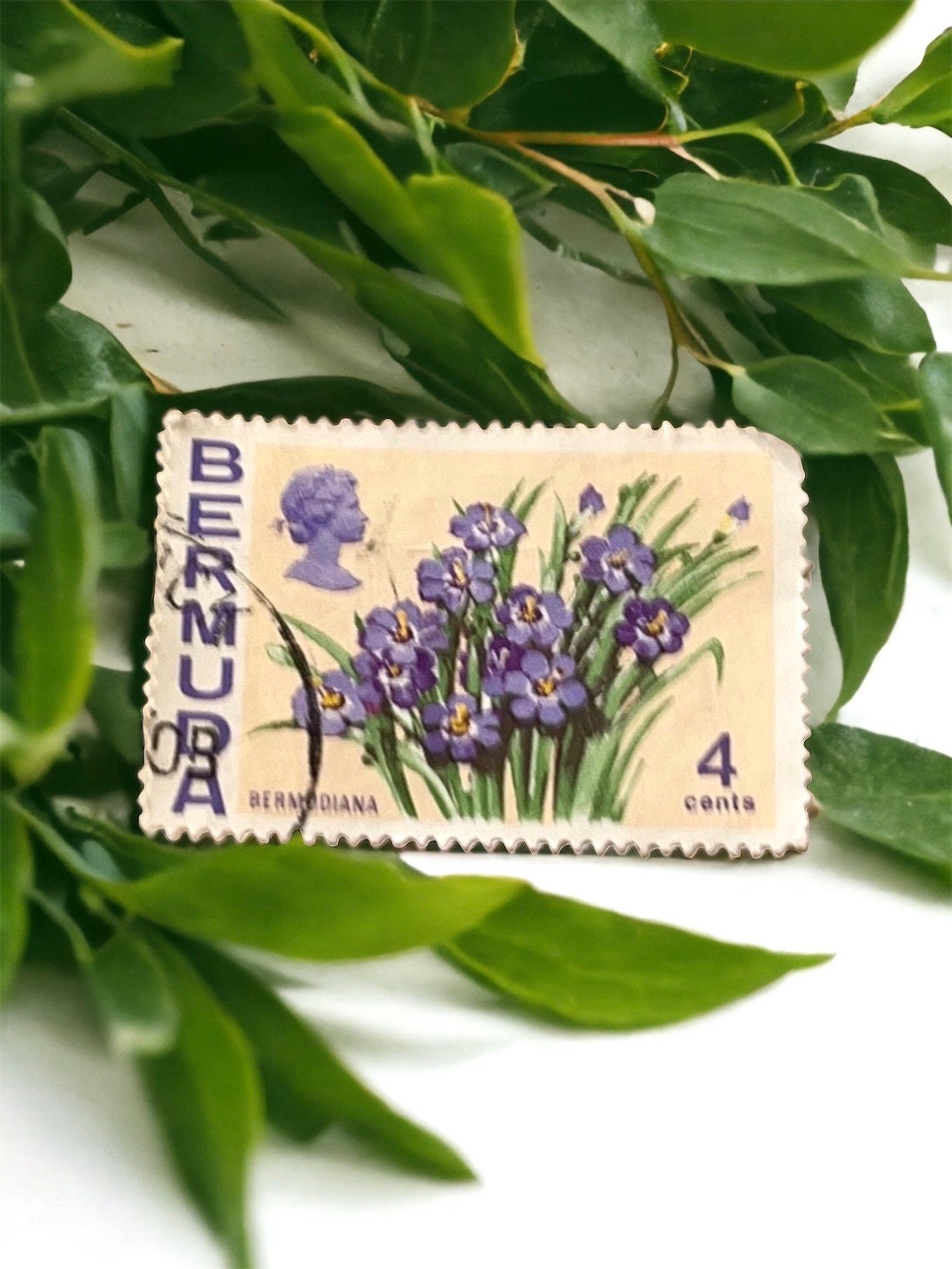 Lavender flower necklace pendant or pin made from a genuine vintage postage stamp from Bermuda