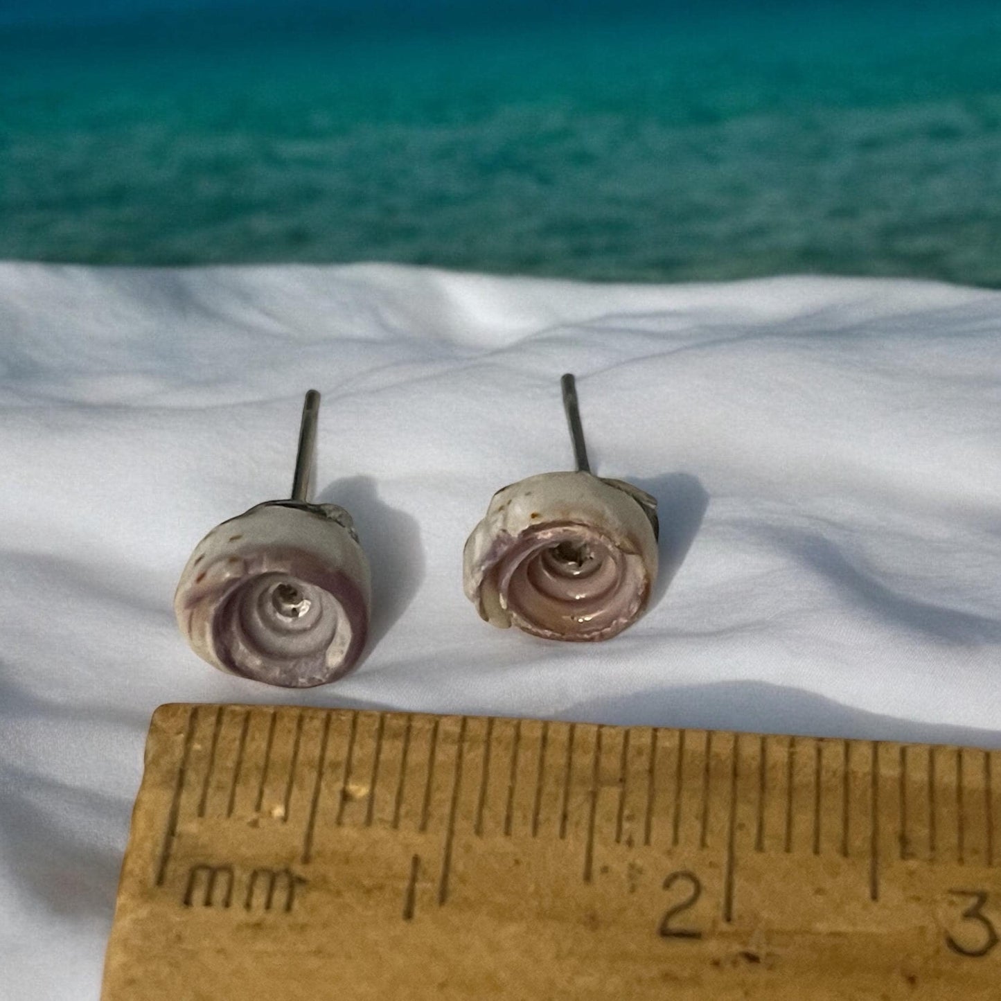 Small shell stud earrings