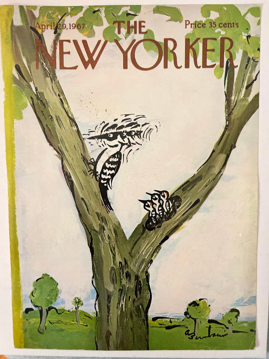 RARE: April 29, 1967 - The NEW YORKER Magazine original cover - woodpecker, birds