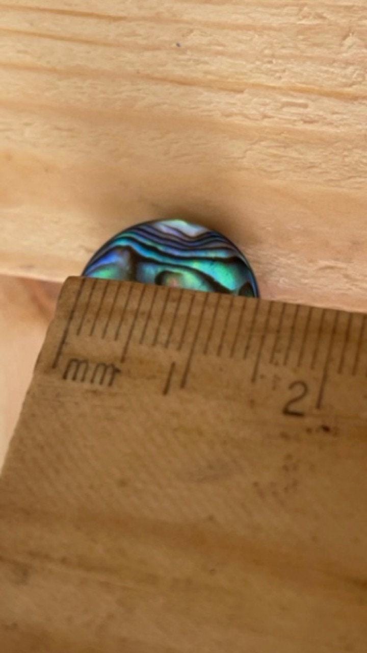 Abalone shell ring - adjustable to fit your finger