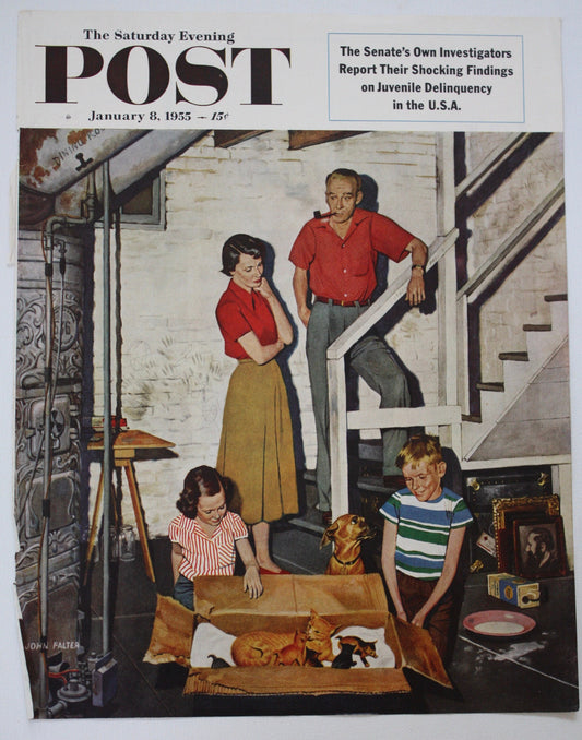 Saturday Evening Post - Original Cover - January 8, 1955 - kittens / litter of kittens
