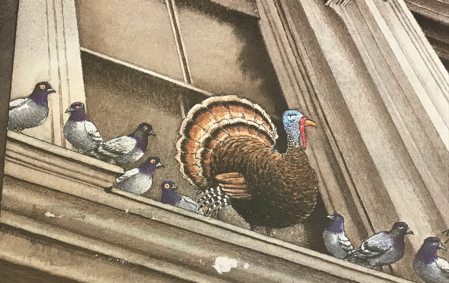 December 1, 2008 - The NEW YORKER - cover only - pigeons and turkey