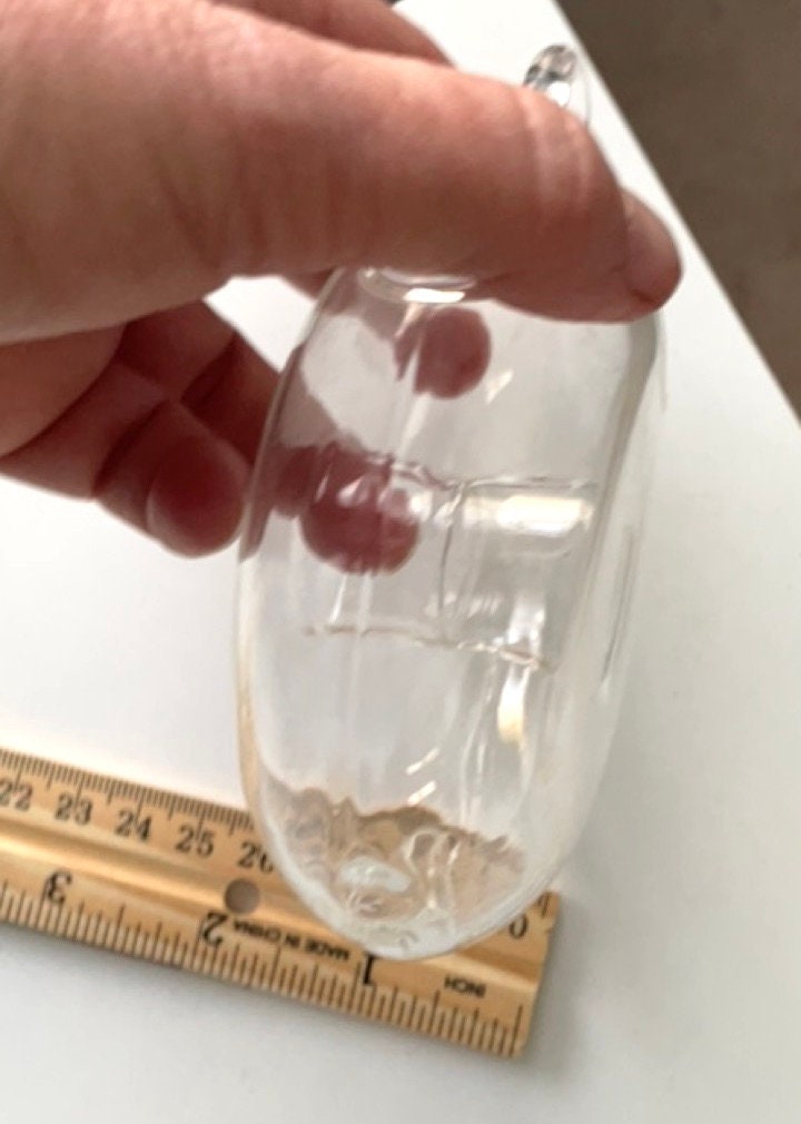 Your choice of clear glass hanging plant terranium