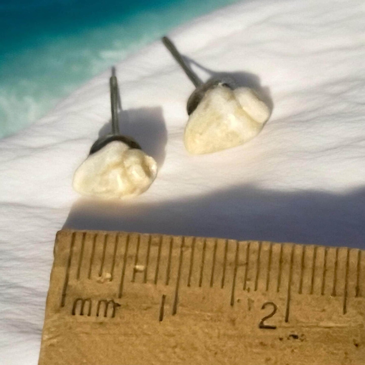 Small shell stud earrings