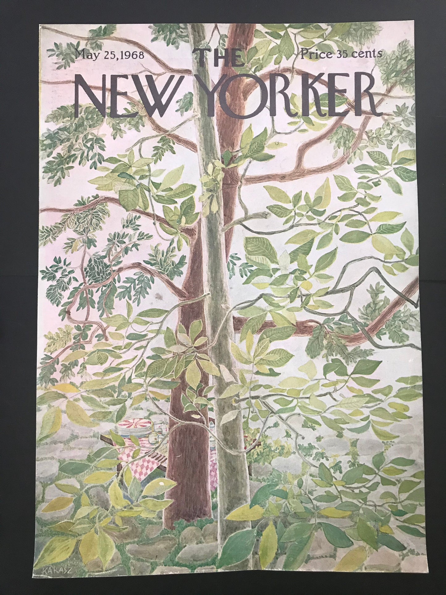 The NEW YORKER Magazine cover - May 25, 1968 - picnic in the park