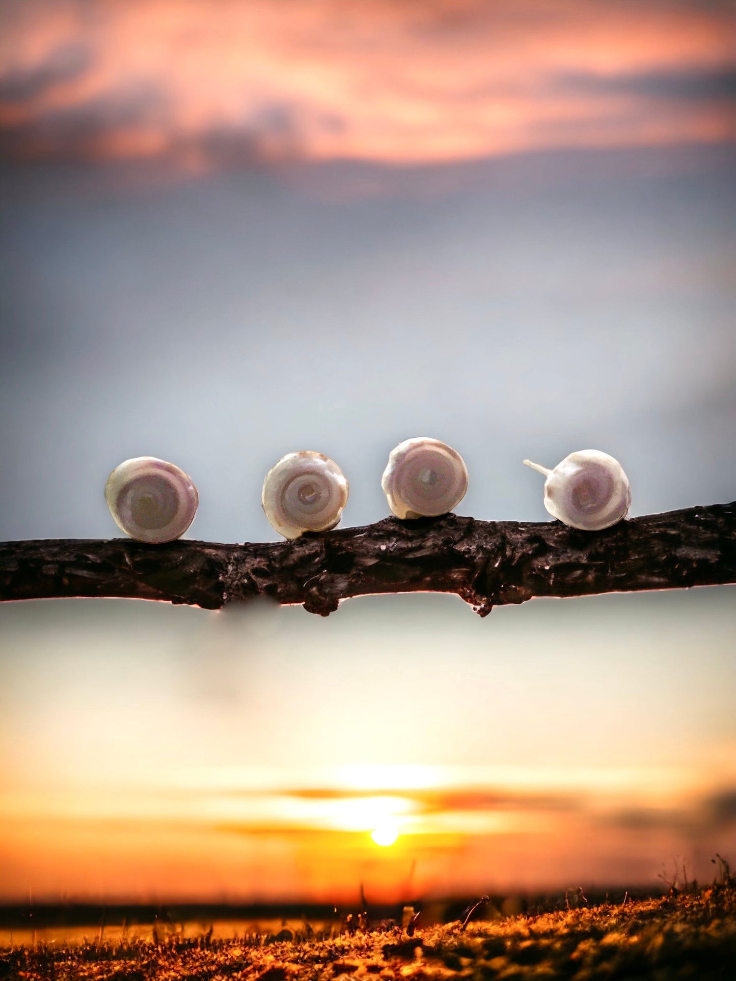 Tiny round shell stud earrings