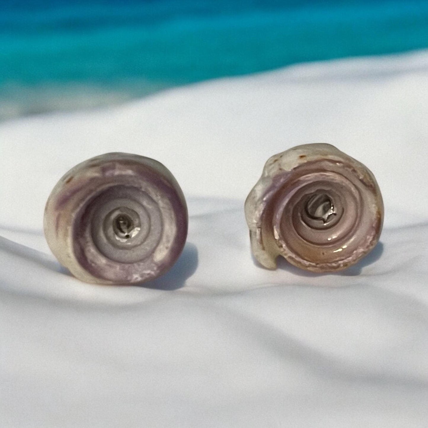 Small shell stud earrings
