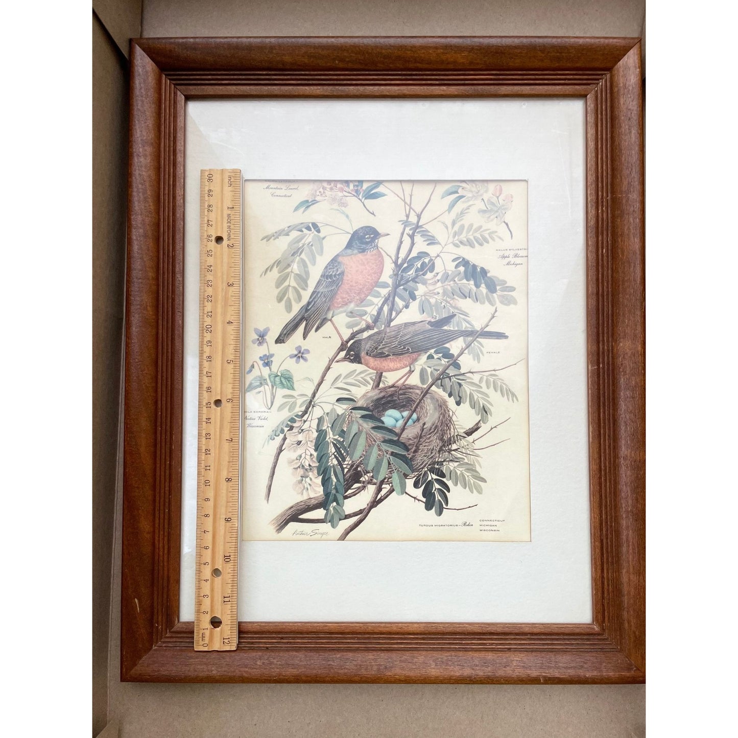 Arthur Singer framed vintage print - birds, leaves, birds nest - wood frame with glass