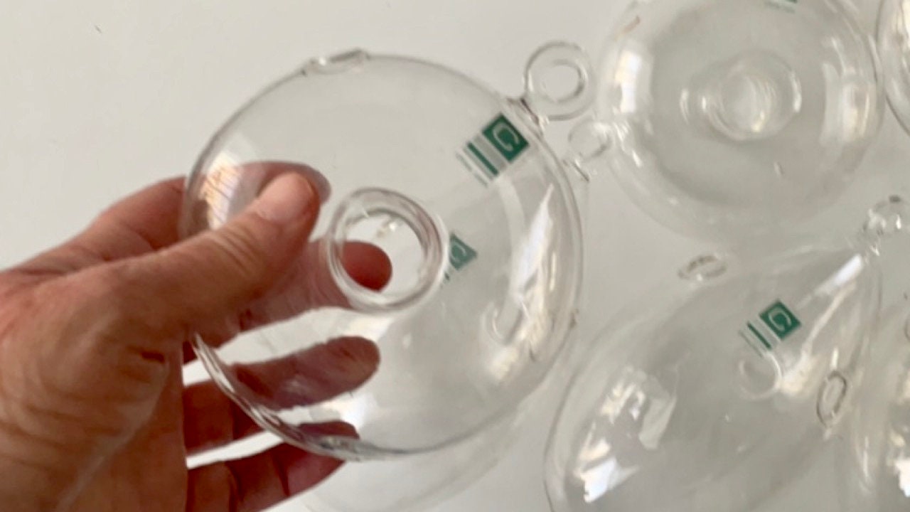 Your choice of clear glass hanging plant terranium