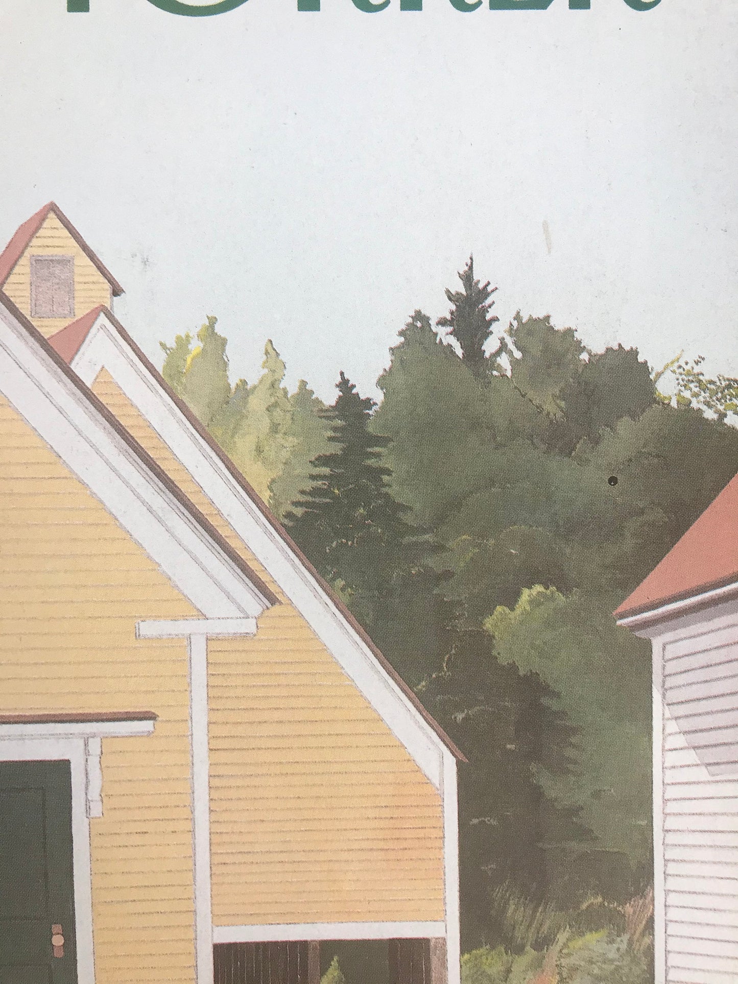 NEW YORKER Magazine original cover - vintage - June 19, 1989