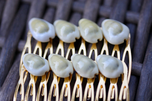 Stunning cowrie shell hair comb