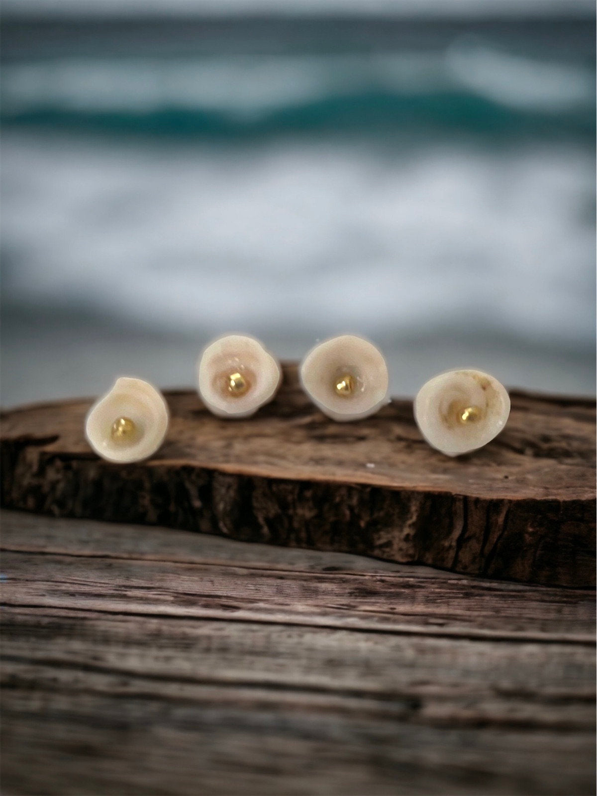 Ivory white shell stud earrings with goldtone centers